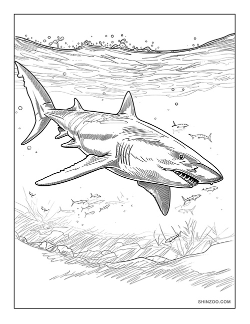 Shark Coloring Page 03