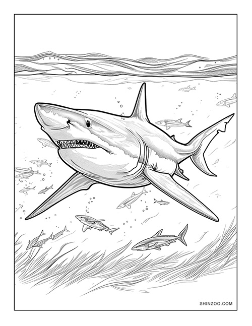 Shark Coloring Page 04