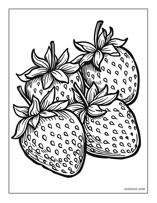 Strawberries Coloring Page 04