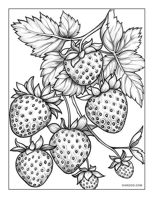 Strawberries Coloring Page 07
