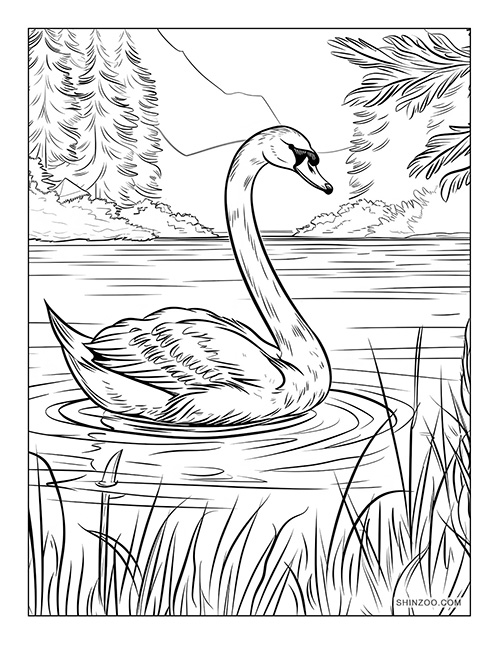 Swan Lake Coloring Page 02