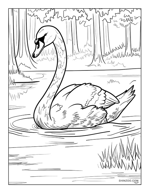 Swan Lake Coloring Page 04
