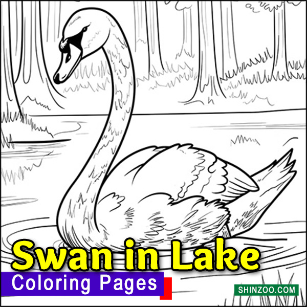 Swan in the Lake Coloring Pages Printable