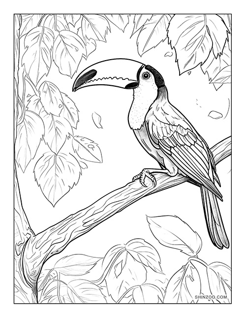 Toucan Bird Coloring Page 01
