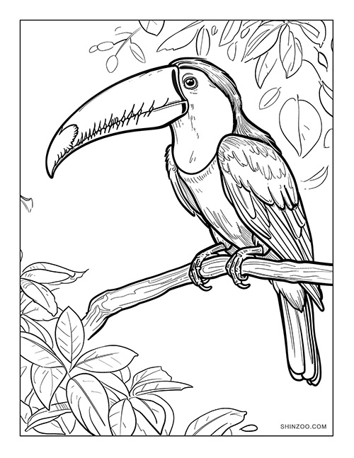 Toucan Bird Coloring Page 02