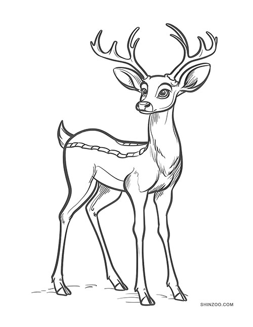 Deer Coloring Pages 04
