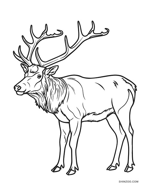 Gorgeous Elks Coloring Pages 01