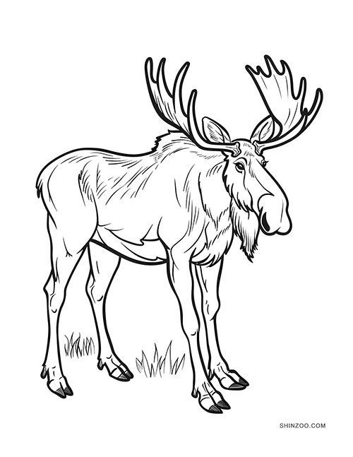 Moose Coloring Pages 02