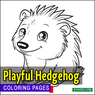 Playful Hedgehog Coloring Pages Printable
