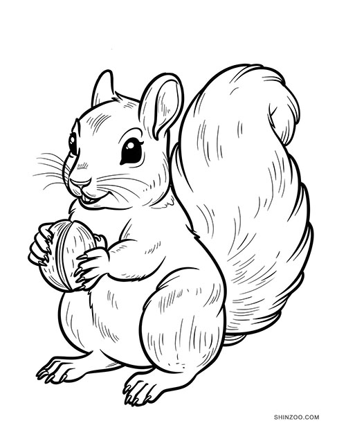 Squirrels Coloring Pages 05