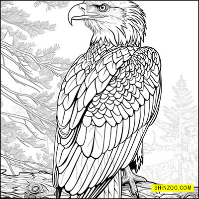 Proud and Powerful: Detailed Eagle Coloring Artwork