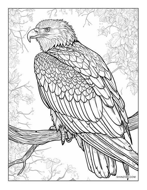 Eagle Coloring 5234