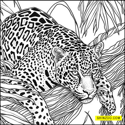 Jungle Majesty: A Jaguar’s Colorful Hideaway