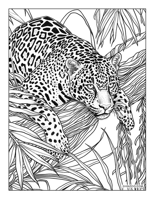 Jaguar Coloring 8213