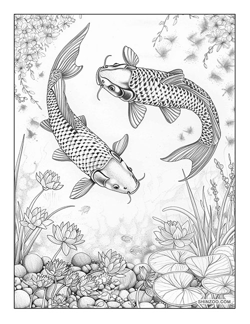 Koi Fish Coloring 5523