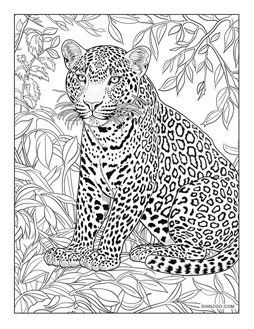 Leopard Coloring 3534