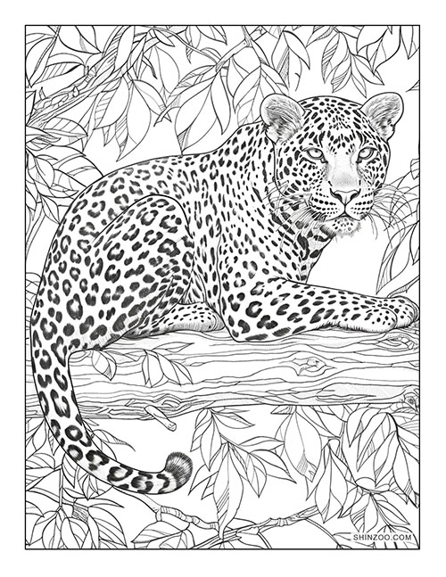 Leopard Coloring Page 3234