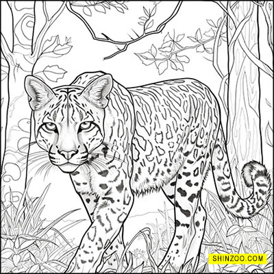 Ocelot’s Prowl and Jungle Camouflage Coloring Page