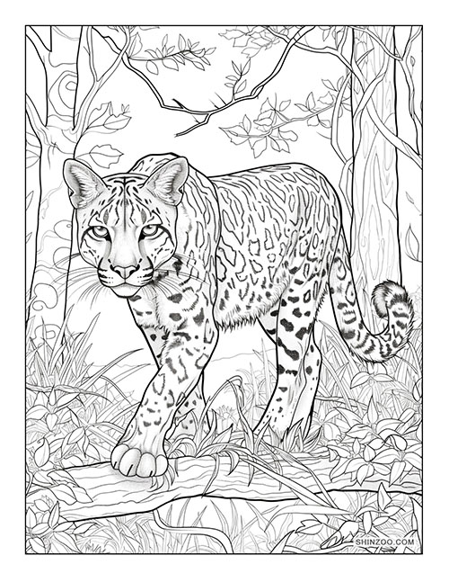 Ocelot Coloring Page 9213