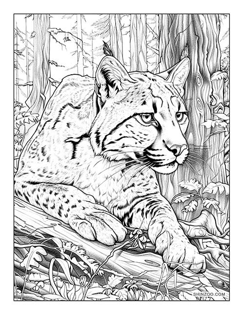Spotted Ocelot Coloring 4218