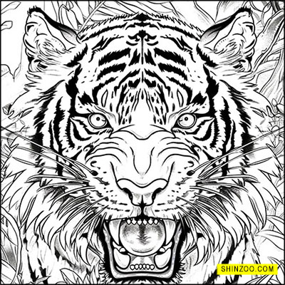 Tiger’s Jungle Roar Coloring Adventure