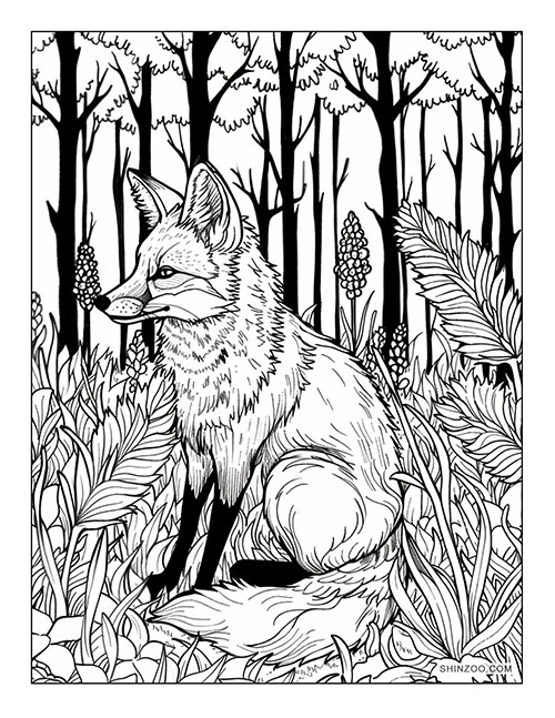 Quiet Forest Fox