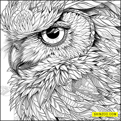 Trippy Feathered Owl Coloring Activity