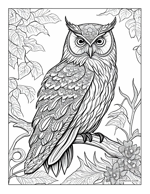 Wise Owl Coloring 4238