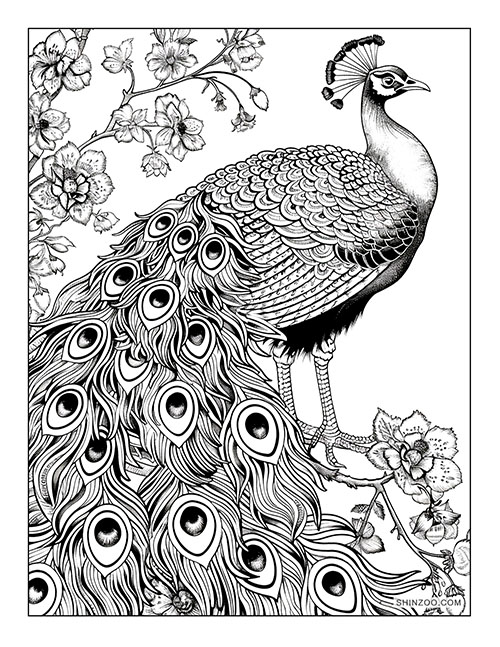 Peacock Floral Art