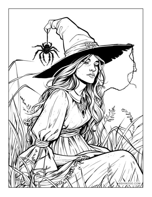 Witch with hat and spider sitted on tall grass