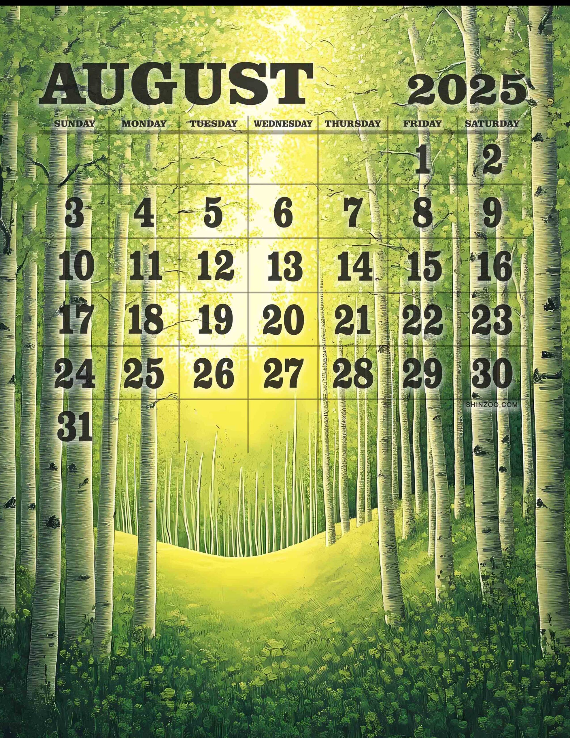 August 2025 Calendar Birch Trees Forest Peaceful Woods Nature Lover Calendar