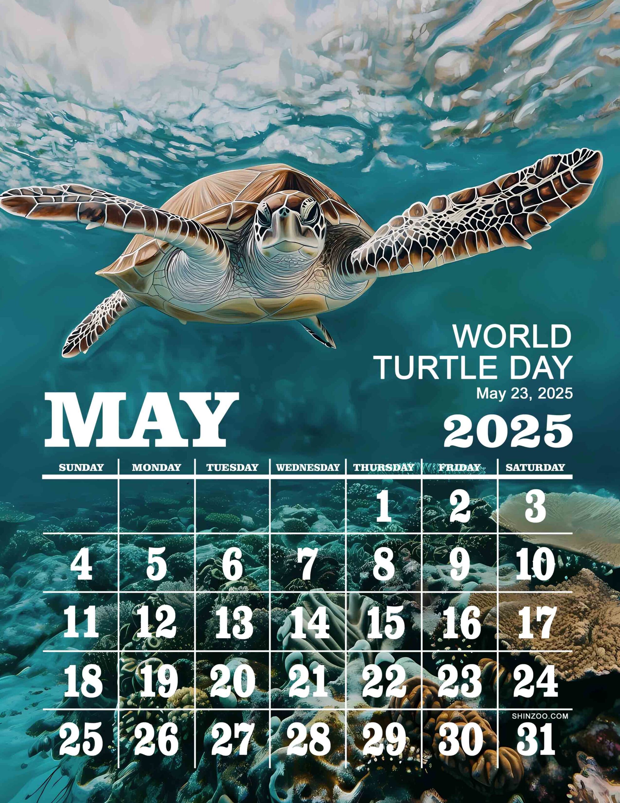World Turtle Day 2025 May Calendar Swimming Sea Turtle Ocean Theme Calendar