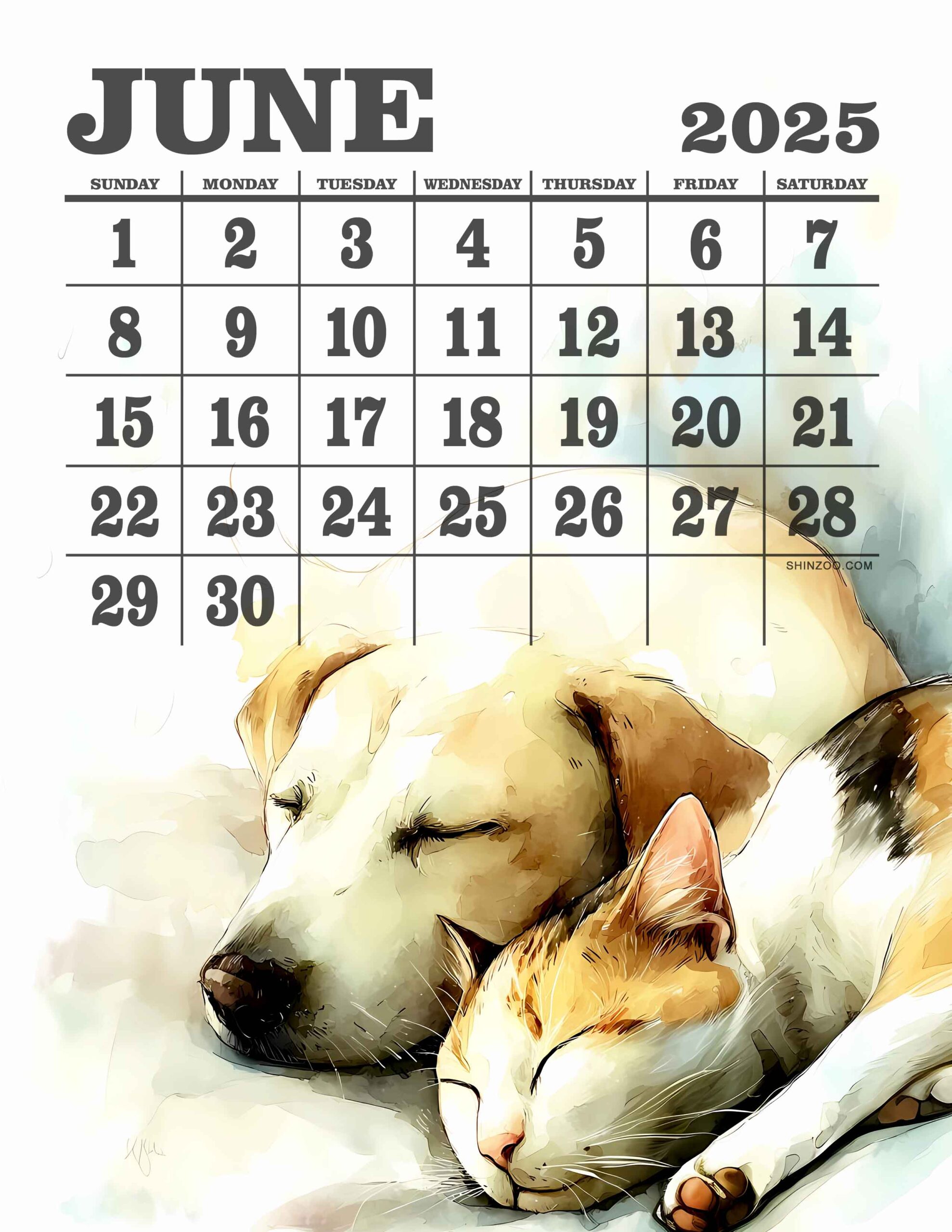Dog and Cat Calendar June 2025 Animal Friendship Sleeping Pet Art