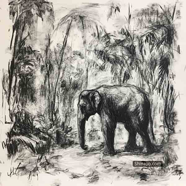 elephant drawing 05
