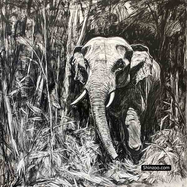 elephant drawing 06