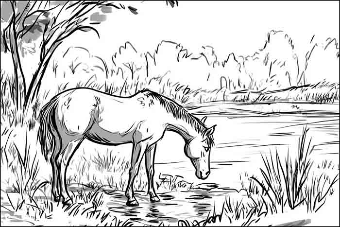 Horse Grazing on Farm Drawing, How to Draw a Horse Feeding on Grass Sketch Illustration