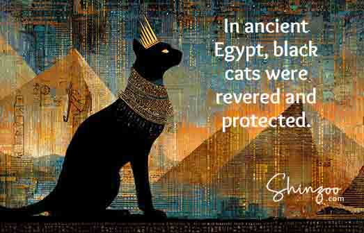 Black cat appreciation day 05