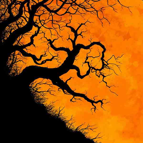 Creepy gnarled trees halloween background 06