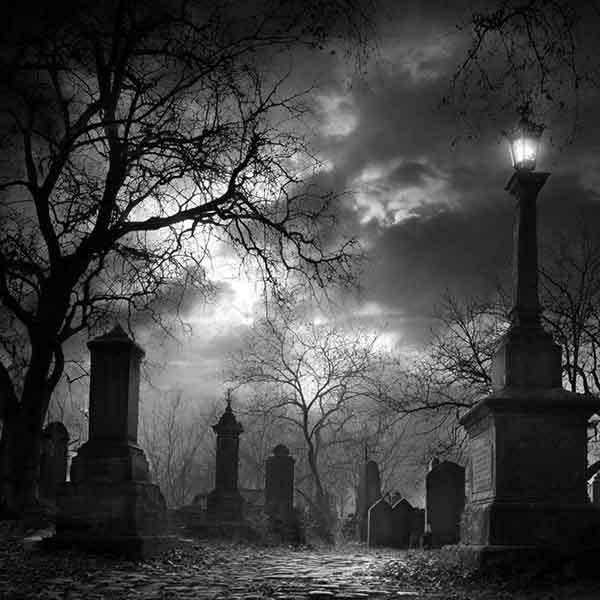 Creepy graveyard Halloween background 12