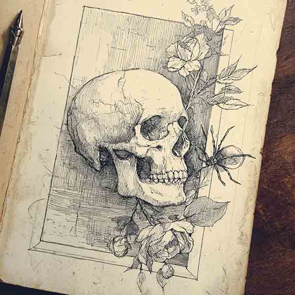 skull with spider 04