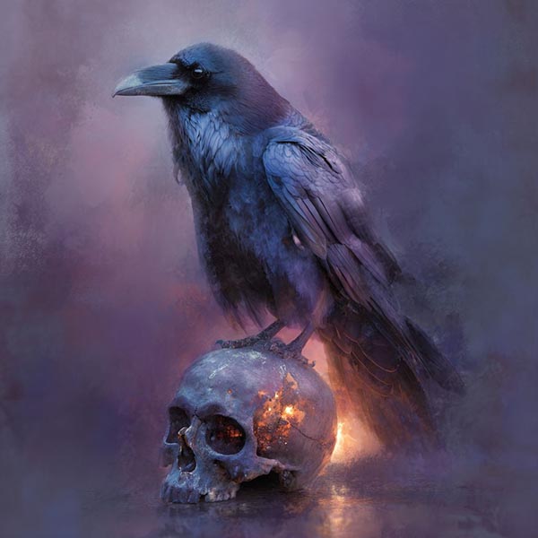 Halloween background raven 03