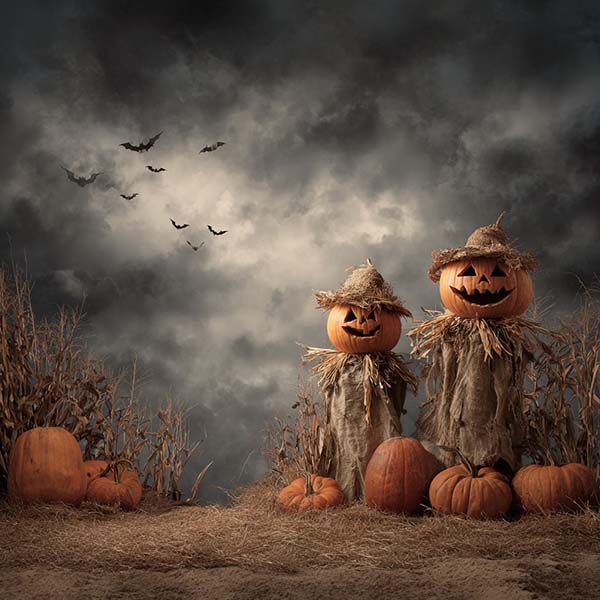 Western Halloween Background 02