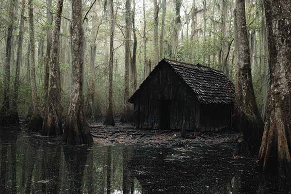 Scary witch house Halloween background 11